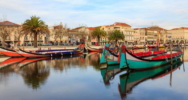 Fila de barcos moliceiro coloridos reflejándose en el agua tranquila del canal de Aveiro al atardecer.