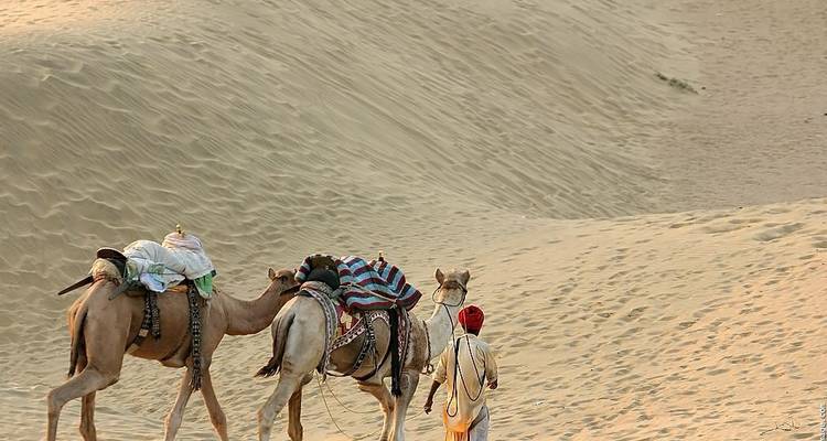 Een man die met kamelen in de woestijn loopt.