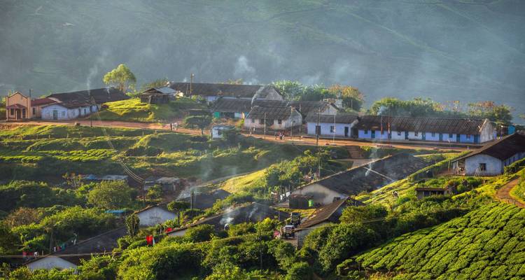 Un paysage rural avec des jardins de thé et des chaumières.