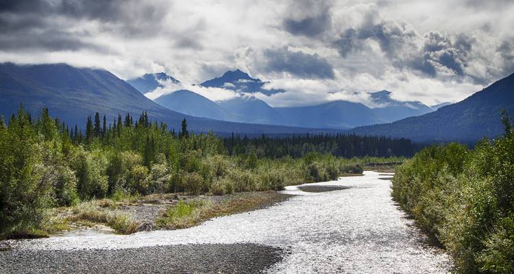 Wild river sparkling in sunlight with dense spruce forest and misty mountains beyond.