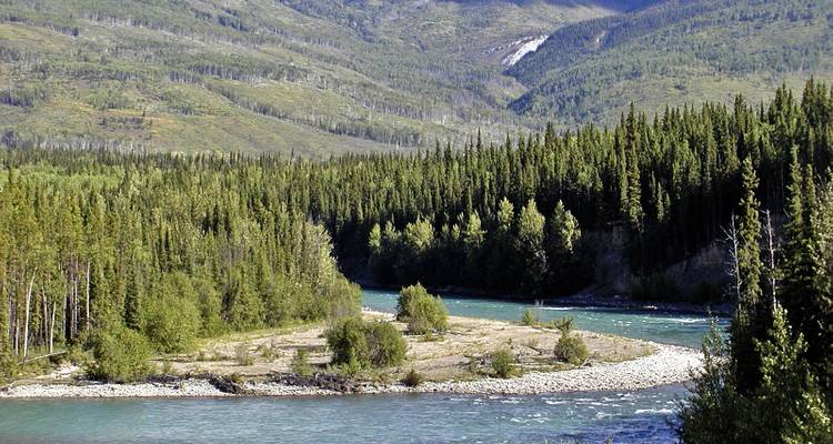 Turquoise river winding through dense conifer forest in a remote valley.