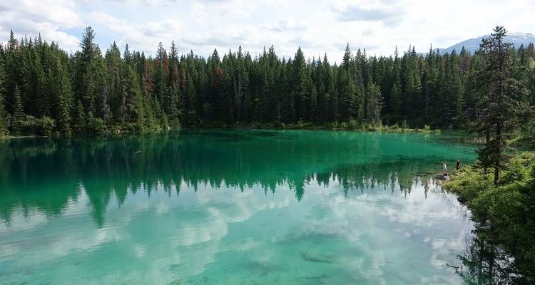 Emerald lake surrounded by dense pine forests.