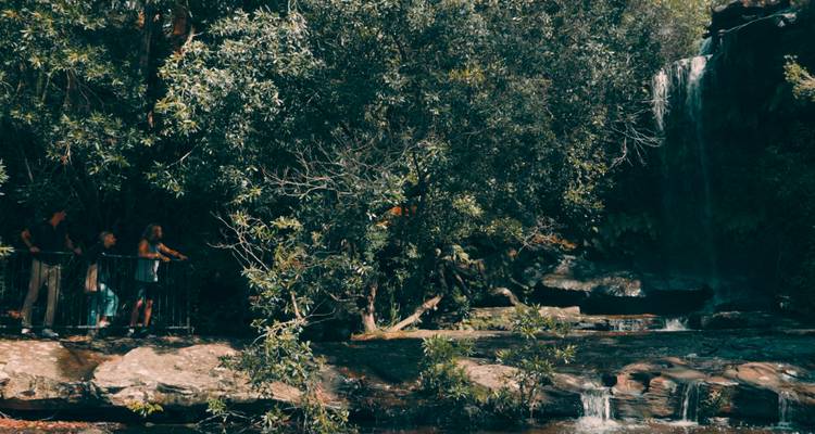 People observing a waterfall in a forest.