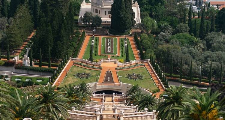Terrastuinen met symmetrische paden en palmbomen.