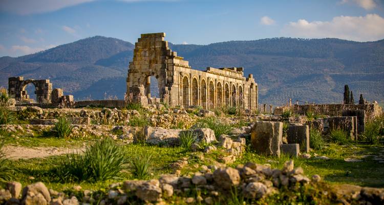 Amplio paisaje de basílica parcialmente en ruinas en Volubilis rodeada de hierbas silvestres y colinas distantes.