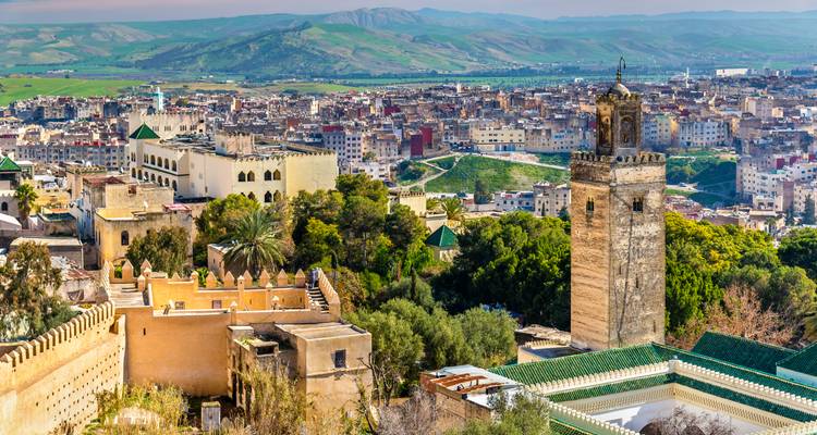 Vista panorámica sobre la antigua medina de Fez con minarete de azulejos verdes elevándose sobre los densos tejados.