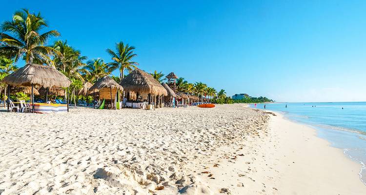 Palmboomgekroond wit zandstrand met palapa-hutten en kalme turkooizen Caribische zee onder een helder blauw lucht.