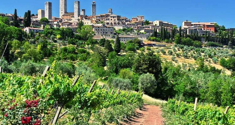Ville historique avec de hautes tours et des vignobles.
