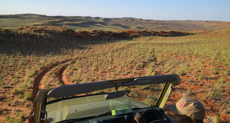 View from an open safari jeep driving across sandy grassland tracks in a Namib desert landscape