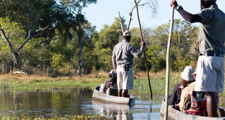 Tourists in canoes glide through calm, reed-lined channels on a delta safari.