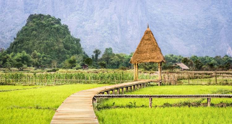 Holzsteg durch grüne Felder führend zu einer Hütte.