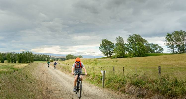Los ciclistas recorren un camino rural de grava bordeado de campos y árboles azotados por el viento bajo un cielo sombrío.