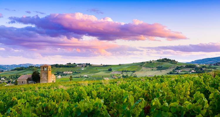Pastoral Beaujolais countryside with vineyards and colorful sunset clouds.