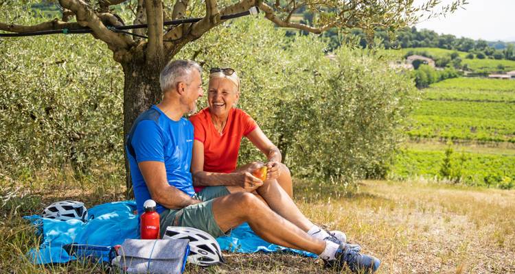 Paar genießt ein Picknick unter einem Olivenbaum