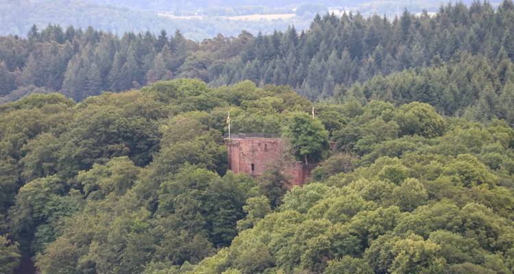 Ruines d'un petit château cachées parmi des arbres denses.
