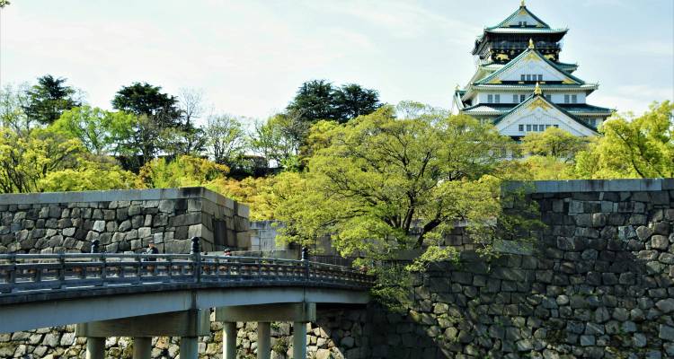 Stenen brug overspant de gracht naar het meertrapsvormige Osaka Castle dat boven de bladrijke bomen uittorent.
