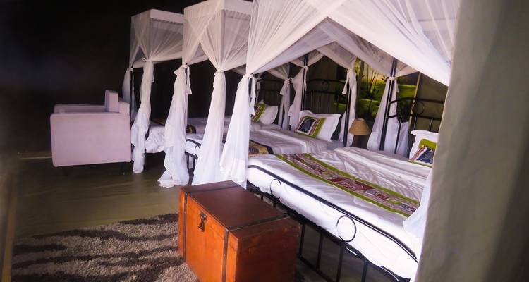 Inneres einer Zeltunterkunft mit mehreren Betten, die mit Moskitonetzen abgedeckt sind.
