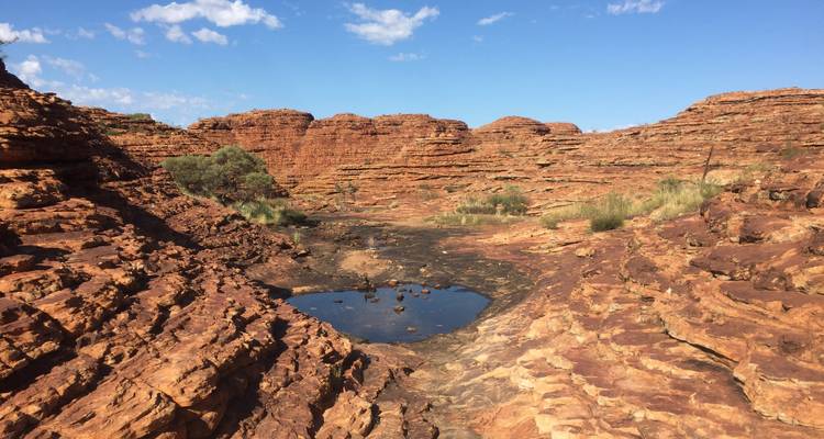 Eroded red rock walls frame a shallow waterhole in a rugged outback canyon beneath a bright sky.