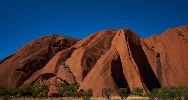 Deep red cliffs and fissures of Uluru contrast against a vibrant blue outback sky with scattered trees below.