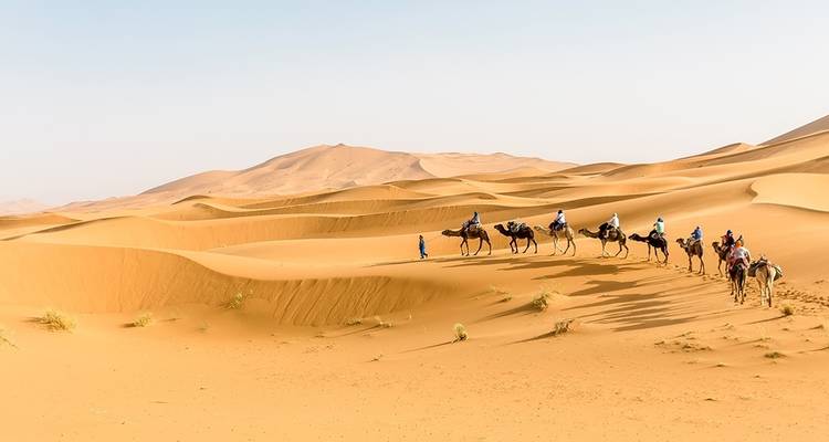 Kamelkarawane, die durch ausgedehnte Sanddünen reist.