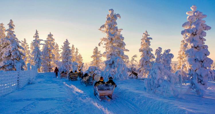 Personnes sur des traîneaux tirés par des huskies dans une forêt enneigée au coucher du soleil.