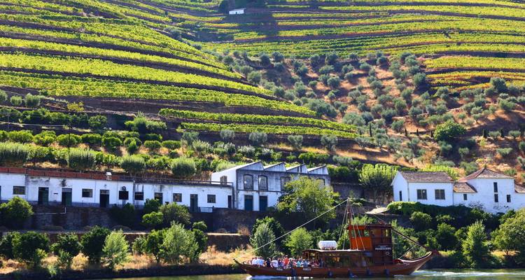 A boat on the Douro River in front of terraced vineyards.