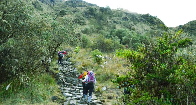 Wandelaars die een stenen pad beklimmen in dichte begroeiing.