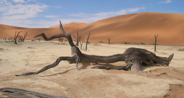 Dode bomen en uitgestrekte duinen bij Sossusvlei.