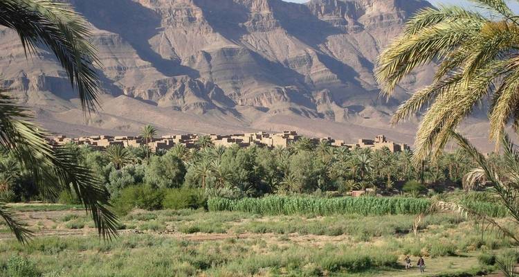 Weelderig landschap met traditionele Marokkaanse architectuur.