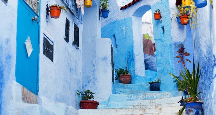 Narrow street in Chefchaouen with blue-painted buildings and potted plants.