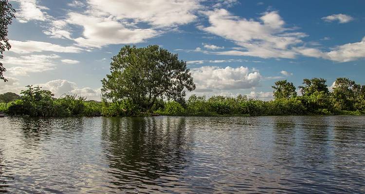 Flusslandschaft mit üppigem Grün unter bewölktem Himmel.