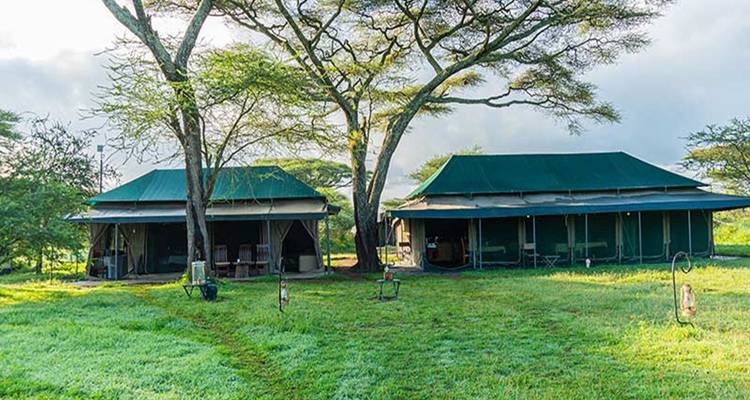 Zwei Safari-Zelte in einem grünen Grasbereich mit Bäumen im Hintergrund.