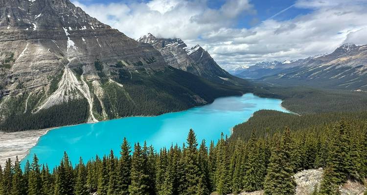 Vibrant turquoise Peyto Lake snakes through the glacier-carved valley beneath snow-capped peaks and evergreen forest.