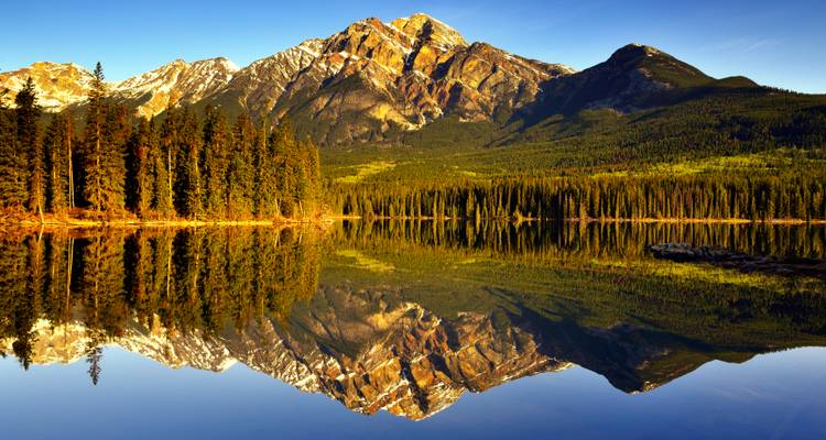 Schneebedeckte Berge spiegeln sich in einem ruhigen See bei goldenem Sonnenlicht bei Sonnenaufgang perfekt wider, wobei Kiefern die Ufer säumen.