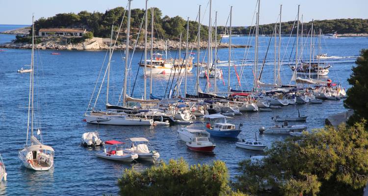 Barcos atracados en un puerto deportivo con una isla de fondo.