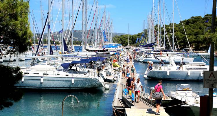 Marina con varios veleros y personas en un muelle, rodeada de árboles.