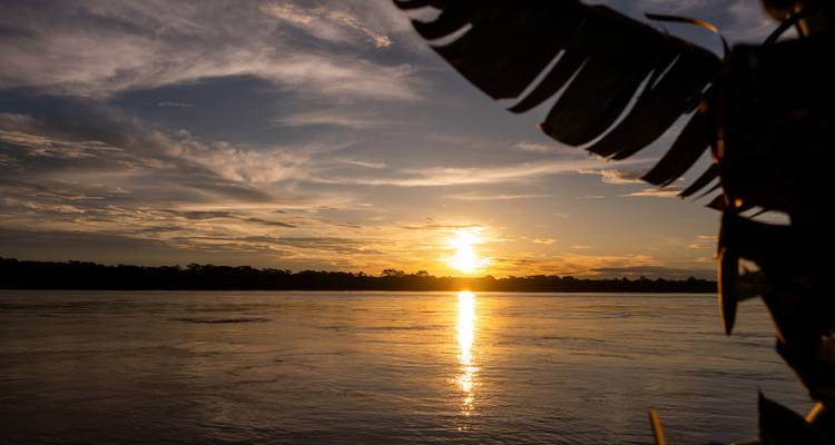 Ein goldener Sonnenuntergang spiegelt sich in einem breiten Amazonafluss wider, wobei silhouettierte Vegetation die Szene einrahmt.