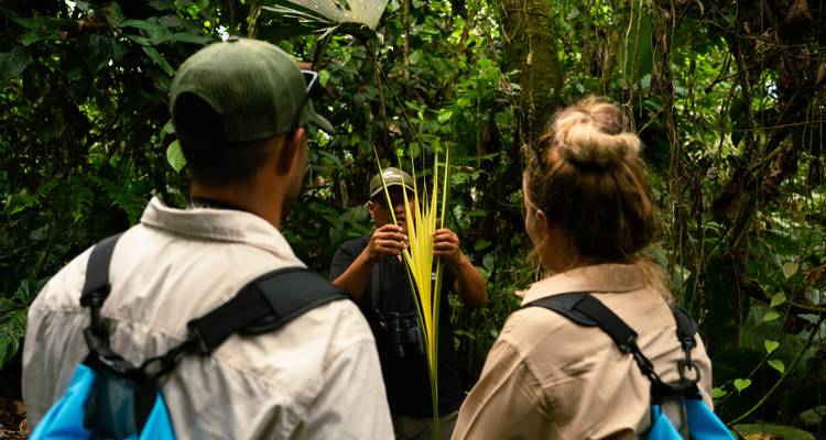 El guía les muestra plantas de la selva a dos turistas durante un paseo por la selva tropical.