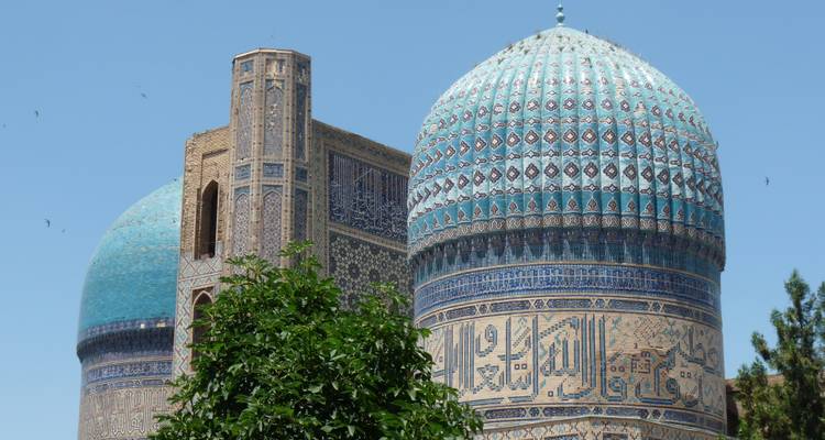 Dômes aux couleurs vives d'une mosquée historique avec un travail de carreaux complexe.