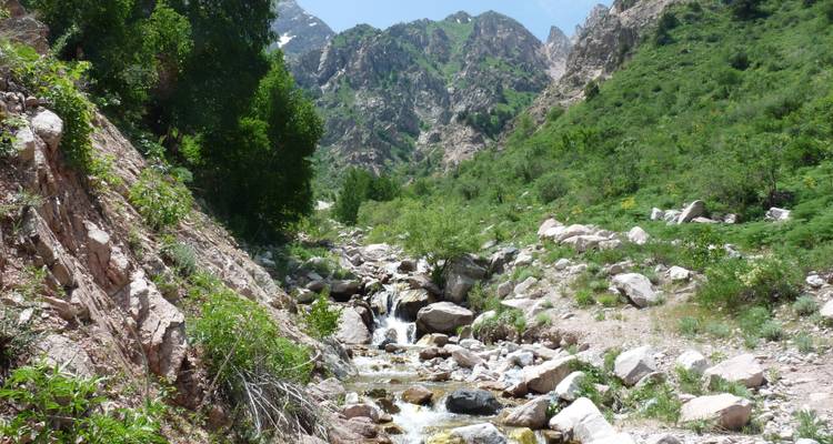 Un petit ruisseau traverse une vallée luxuriante avec des arbres verts et des falaises escarpées.