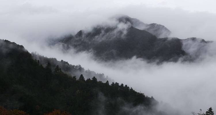 Foggy mountain landscape with mist covering the peaks and valleys.