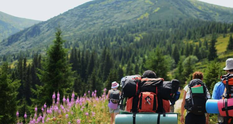 Group of hikers with backpacks walking through forested hills.