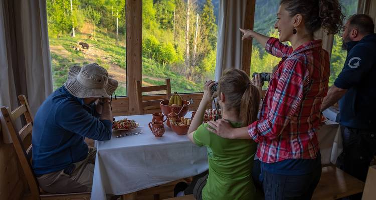 Group of people in a wooden cabin enjoying a meal while observing nature.