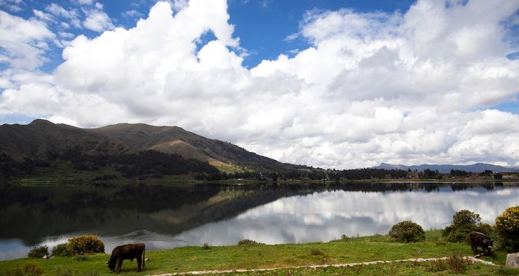 Schilderachtig landschap met een meer en grazende koeien, waarschijnlijk in het landelijke Schotland.