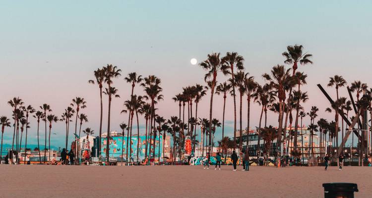 Strand met palmbomen en mensen onder een heldere hemel.