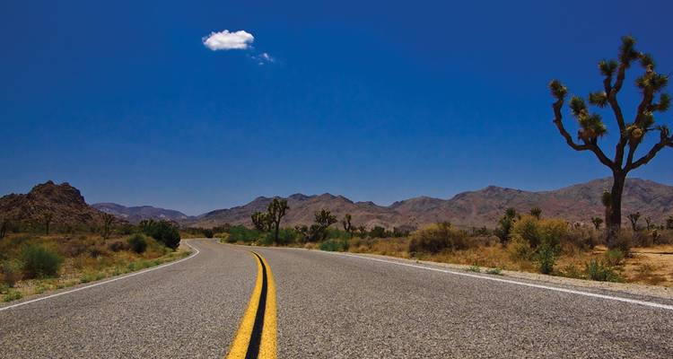 Route désertique vide à travers le parc national de Joshua Tree sous un ciel bleu profond.