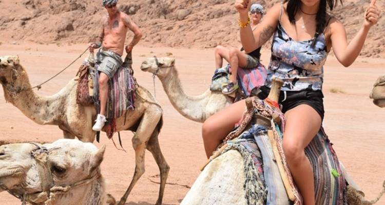 Eine Gruppe von Touristen, die auf Kamelen durch die Wüste reitet.