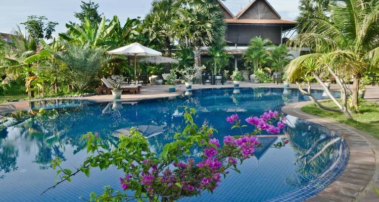 Tropical hotel pool area with palm trees and vibrant flowers.