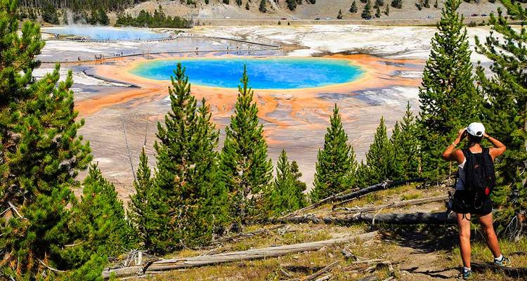 Hiker viewing the vivid rainbow colors of Grand Prismatic Spring from a pine-covered ridge.