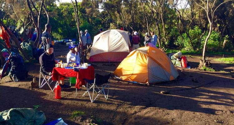 Kampeerterrein in het bos met tenten en mensen die aan het dineren zijn.